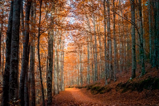 Manteigas, o coração da Serra da Estrela Manteigas
