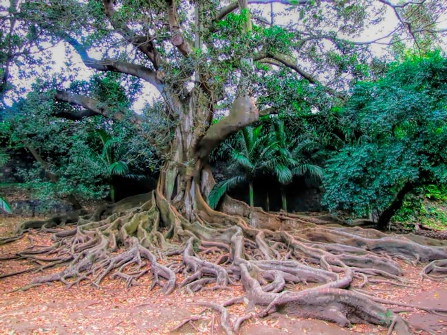 Ponta Delgada: Provavelmente, a cidade mais acolhedora de Portugal cidade mais acolhedora de Portugal