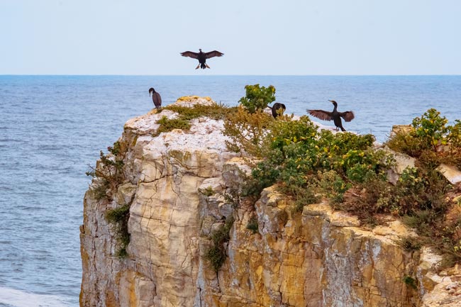 O Paraíso fica no Centro de Portugal Paraíso fica no Centro de Portugal