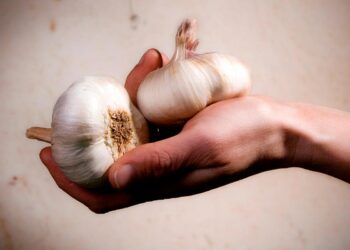 superalimento amigo do coração