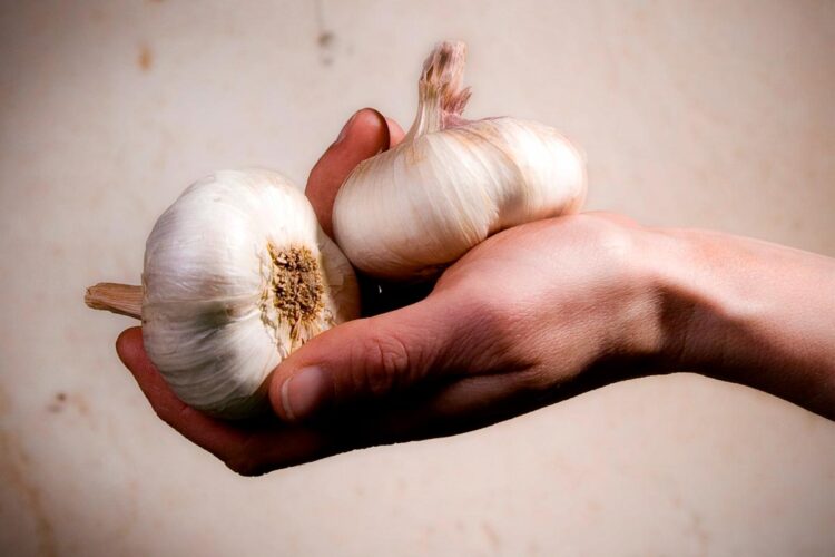 superalimento amigo do coração