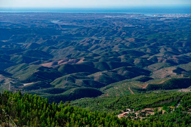 Provavelmente, o segredo mais bem guardado do Algarve segredo mais bem guardado do Algarve