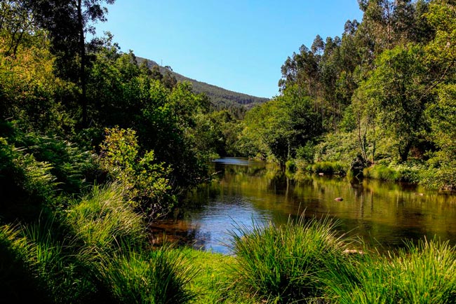 Couce: A aldeia onde habitaram romanos e os seus escravos no Norte de Portugal aldeia onde habitaram romanos