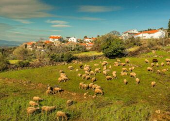 aldeia onde não se brinca com a sorte