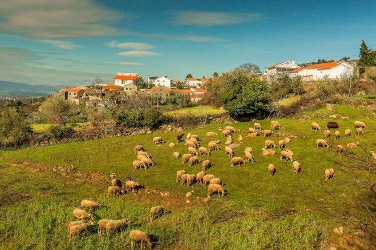 aldeia onde não se brinca com a sorte