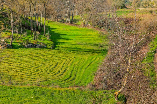 Vide Entre Vinhas: A aldeia onde não se brinca com a sorte no Centro de Portugal aldeia onde não se brinca com a sorte
