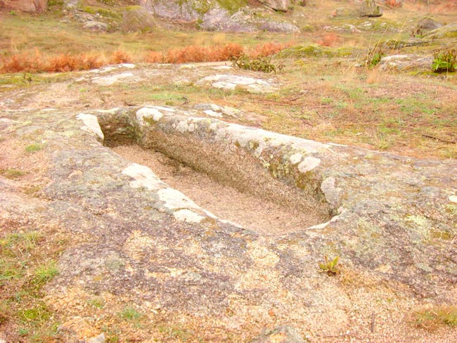Vide Entre Vinhas: A aldeia onde não se brinca com a sorte no Centro de Portugal aldeia onde não se brinca com a sorte