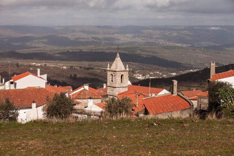 Salgueirais: A aldeia onde se pagava o imposto do vinho no Centro de Portugal pagava o imposto do vinho