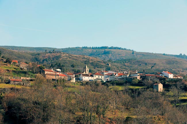 Salgueirais: A aldeia onde se pagava o imposto do vinho no Centro de Portugal pagava o imposto do vinho