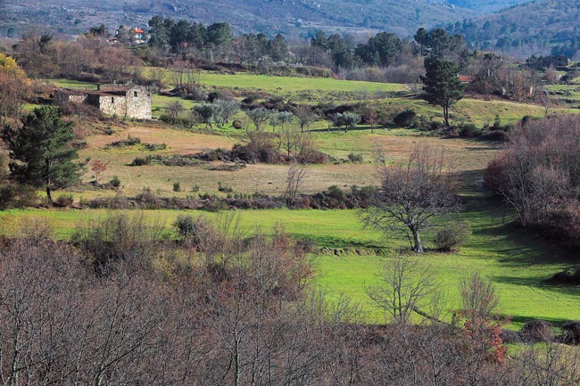 Salgueirais: A aldeia onde se pagava o imposto do vinho no Centro de Portugal pagava o imposto do vinho