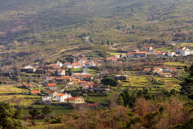 Salgueirais: A aldeia onde se pagava o imposto do vinho no Centro de Portugal pagava o imposto do vinho