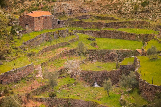 Teixeira: A aldeia onde uma zanga de pastores fez nascer duas povoações no Centro de Portugal! zanga de pastores fez nascer duas povoações