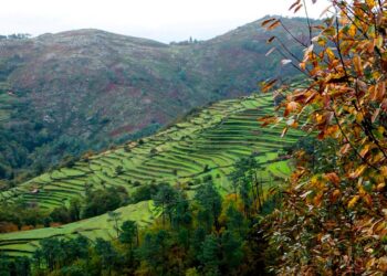 A aldeia que nos deixa sem palavras