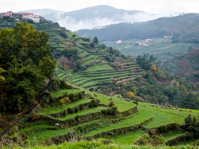 Sistelo: A aldeia que nos deixa sem palavras no Norte de Portugal A aldeia que nos deixa sem palavras