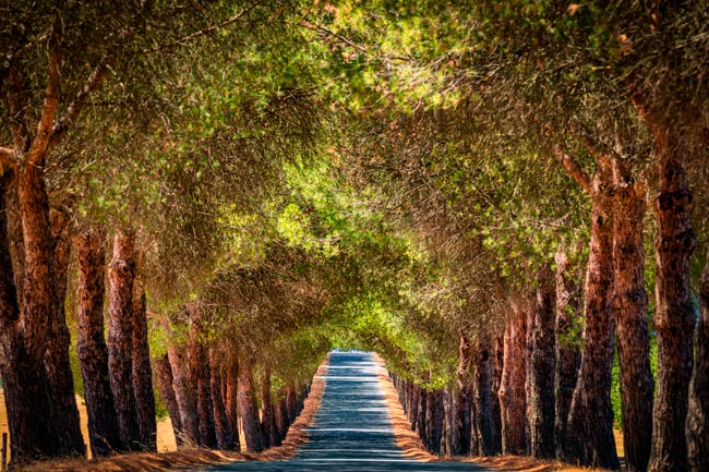 Beja: A cidade que os Celtas fundaram no Alentejo cidade que os Celtas fundaram
