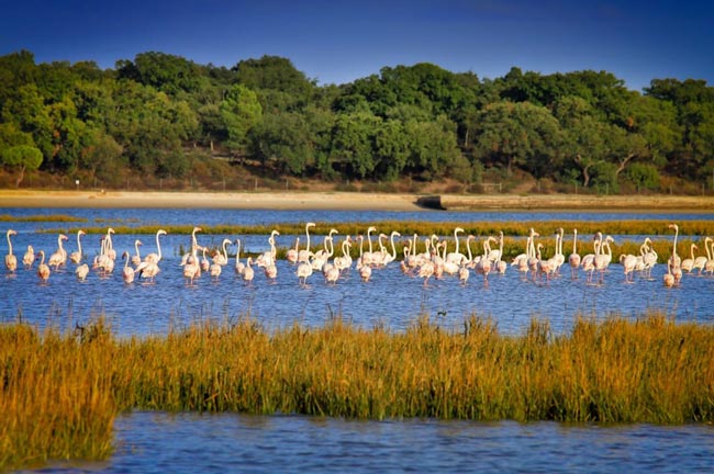 Setúbal: A encantadora cidade com um rio azul a 30min de Lisboa cidade com um rio azul