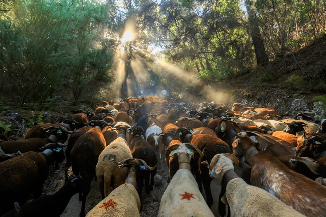 Póvoa Velha, a incrível aldeia que renasceu no Centro de Portugal Póvoa Velha
