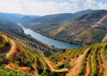 personalidades da nossa História ligadas ao Douro
