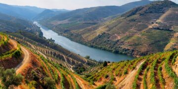 personalidades da nossa História ligadas ao Douro