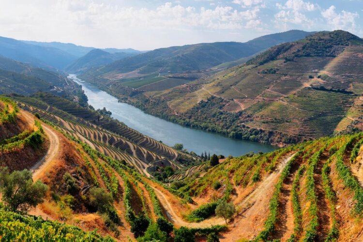 Ilustres personalidades da nossa História ligadas ao Douro personalidades da nossa História ligadas ao Douro