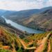 personalidades da nossa História ligadas ao Douro