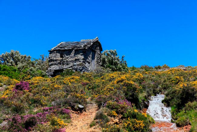 Lamas de Olo, um paraíso para descobrir em Trás-os-Montes Lamas de Olo