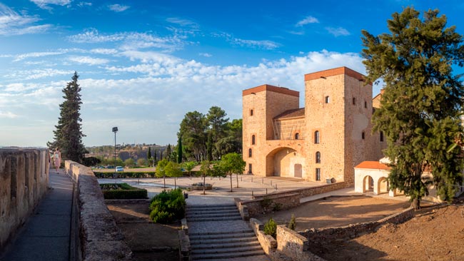 Badajoz: Aqui D. Afonso Henriques magoou-se com gravidade perto do Alentejo D. Afonso Henriques magoou-se