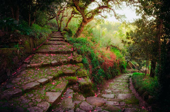 Palácio de Monserrate: o exótico palácio das mil e uma noites em Portugal palácio das mil e uma noites