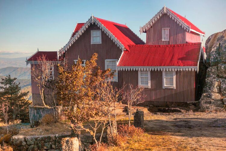 permitiu o tratamento da tuberculose