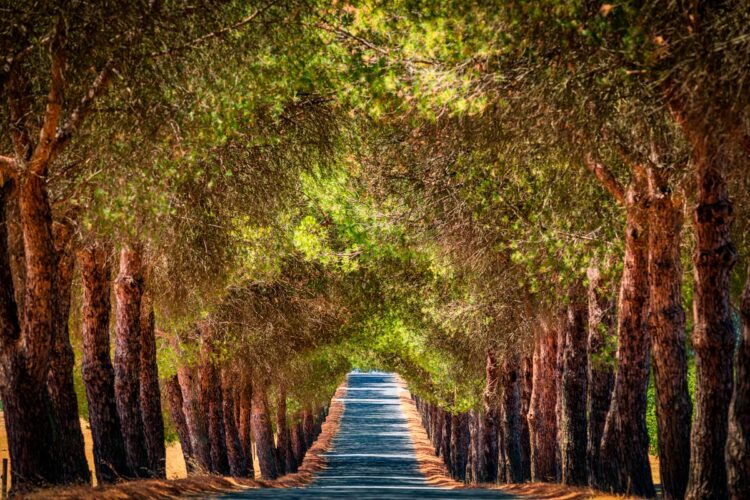 Baixo Alentejo