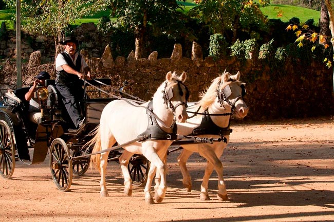 Vidago Palace já foi o hotel mais luxuoso de Portugal hotel mais luxuoso de Portugal
