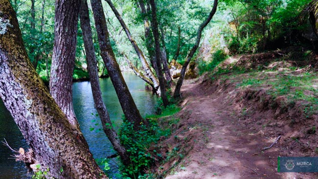 Trilho dos Passadiços do Tinhela: 6km de magia em Trás-os-Montes Trilho dos Passadiços do Tinhela