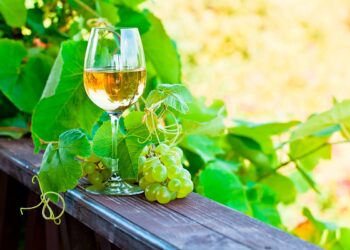 Há muitas dúvidas sobre o vinho verde e muita desinformação que gera várias confusões. Confira factos sobre o vinho verde que tem de conhecer.