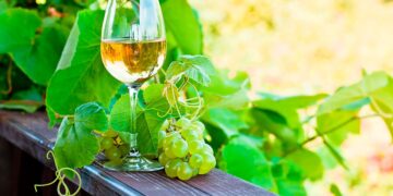 Há muitas dúvidas sobre o vinho verde e muita desinformação que gera várias confusões. Confira factos sobre o vinho verde que tem de conhecer.