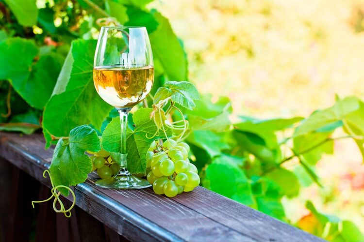 Há muitas dúvidas sobre o vinho verde e muita desinformação que gera várias confusões. Confira factos sobre o vinho verde que tem de conhecer.