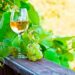 10 factos sobre o vinho verde que poucos sabem Há muitas dúvidas sobre o vinho verde e muita desinformação que gera várias confusões. Confira factos sobre o vinho verde que tem de conhecer.
