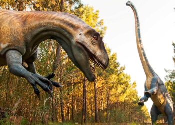 Descubra as diversas experiências que pode viver em parques aventura em Portugal, com diversão garantida para toda a família.