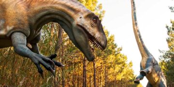 Descubra as diversas experiências que pode viver em parques aventura em Portugal, com diversão garantida para toda a família.