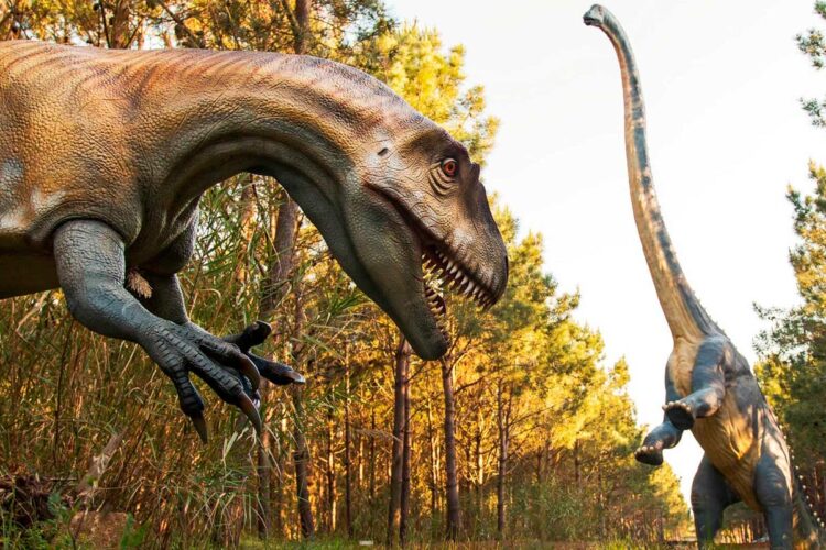 Descubra as diversas experiências que pode viver em parques aventura em Portugal, com diversão garantida para toda a família.