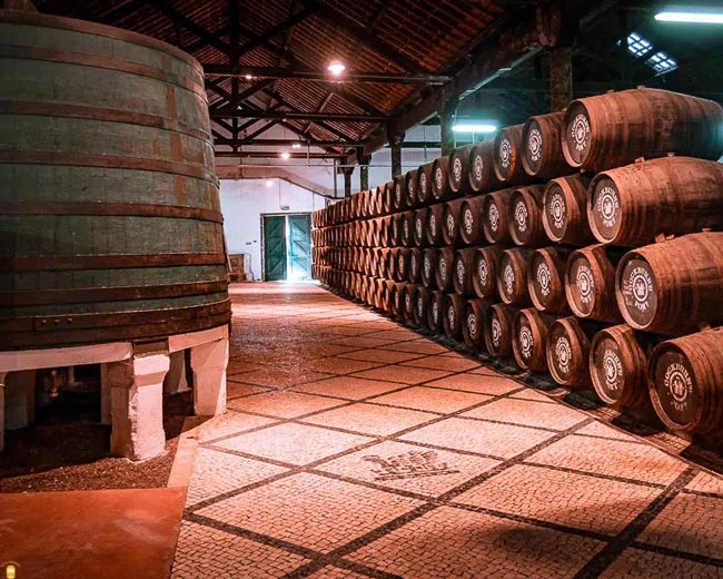 As melhores caves de vinho do Porto em Gaia melhores caves de vinho do Porto