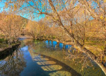 adrenalina e a tranquilidade