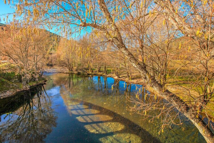 adrenalina e a tranquilidade
