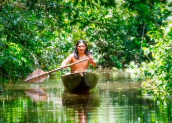 O cenário é tão incrível que parece um local inventado. Todos deviam visitar a Amazónia uma vez na vida!