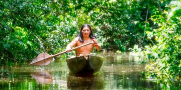 O cenário é tão incrível que parece um local inventado. Todos deviam visitar a Amazónia uma vez na vida!