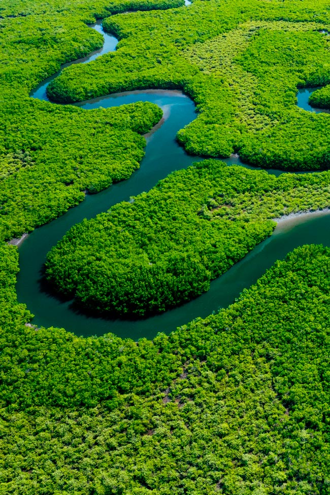 Amazónia, uma aventura memorável O cenário é tão incrível que parece um local inventado. Todos deviam visitar a Amazónia uma vez na vida!