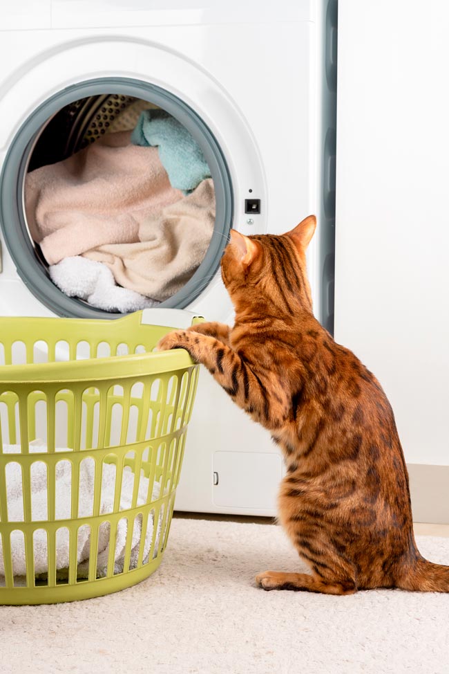 Como evitar mau cheiro na máquina da roupa Reunimos um conjunto de recomendações que farão toda a diferença. Conheça alguns truques que evitam o mau cheiro na máquina da roupa.