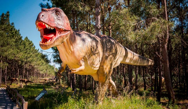 10 parques aventura em Portugal para toda a família Descubra as diversas experiências que pode viver em parques aventura em Portugal, com diversão garantida para toda a família.