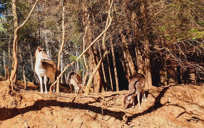 10 parques aventura em Portugal para toda a família Descubra as diversas experiências que pode viver em parques aventura em Portugal, com diversão garantida para toda a família.