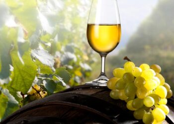 Porque se chama vinho verde