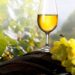 Porque se chama vinho verde? Porque se chama vinho verde